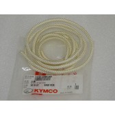 ROPE STARTING